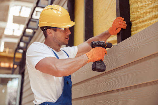 Best Brick Veneer Siding  in Brookings, SD